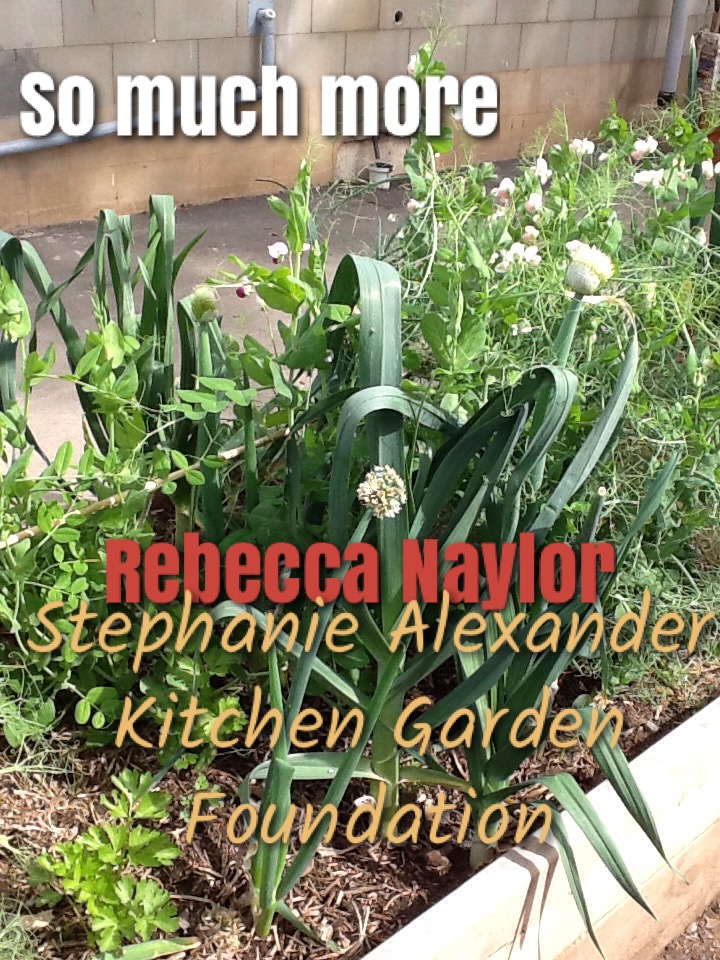 Kitchen Garden Program